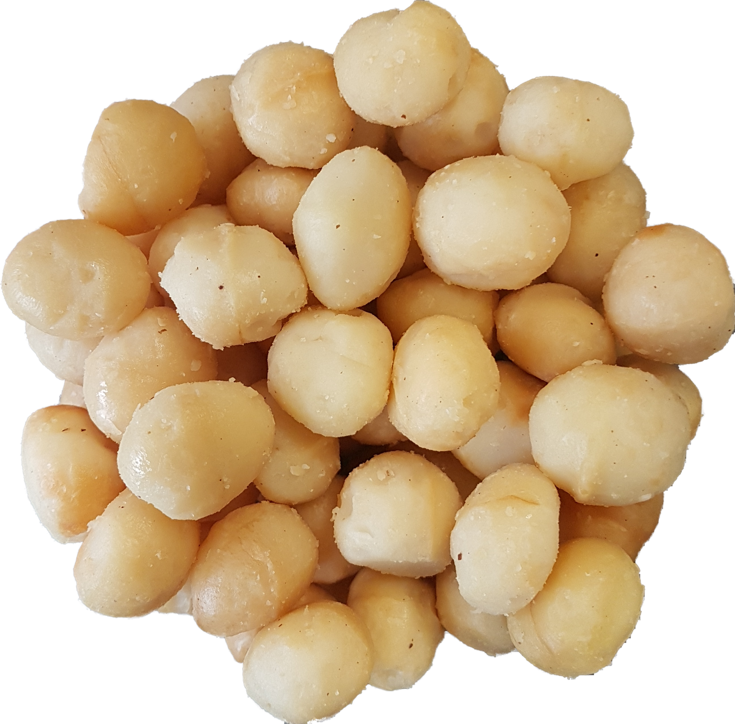 Macadamianoten gezouten 200 gram