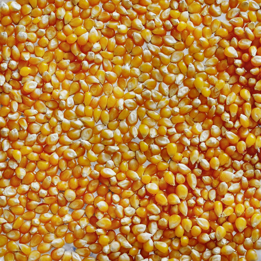 Popcorn Mais 500 gram